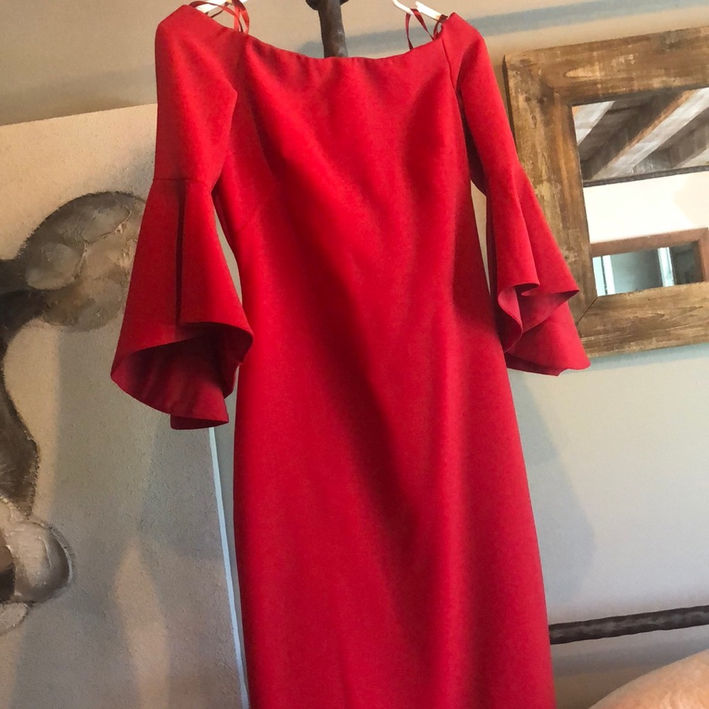 Cxhelsea28 Stunning bell sleeve dress worn once